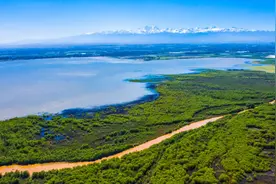 世界环境日丨满目皆绿意 处处好风光图片