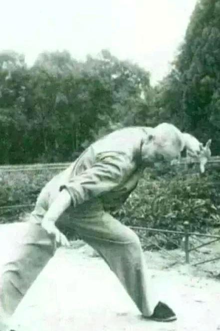 站桩真相揭秘：“全松”是养生最大误区？内家高手都在偷练这个！