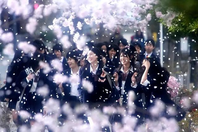 豆瓣8.8,岛国神作!腹黑老师对未成年人的顶级复仇
