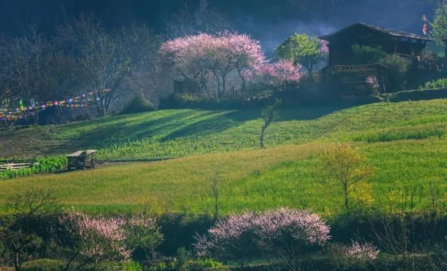 三月的中国，承包了世界所有的春日浪漫