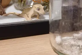 新手钓鱼，这五种“虫”一定要去试试，有时候比蚯蚓更好用！图片