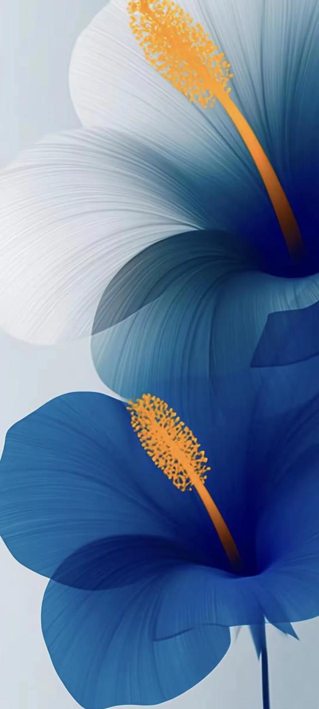 手机壁纸精美图片(162)