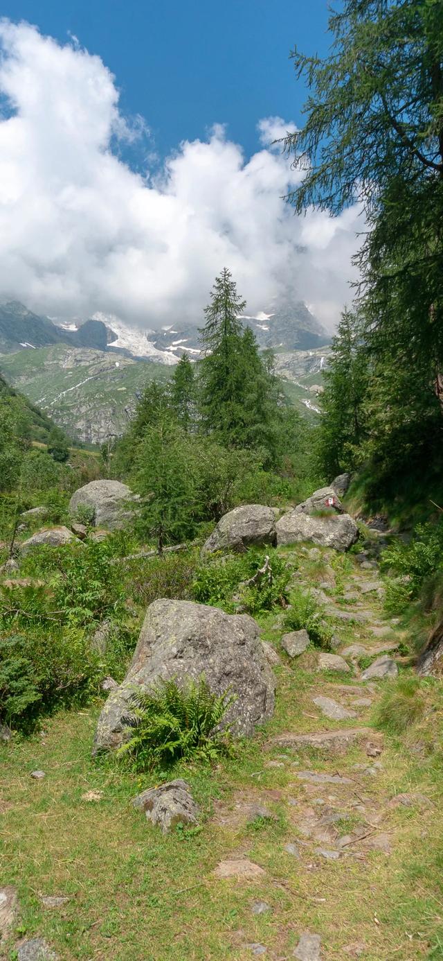 手机壁纸|清新盎然的自然风光美景