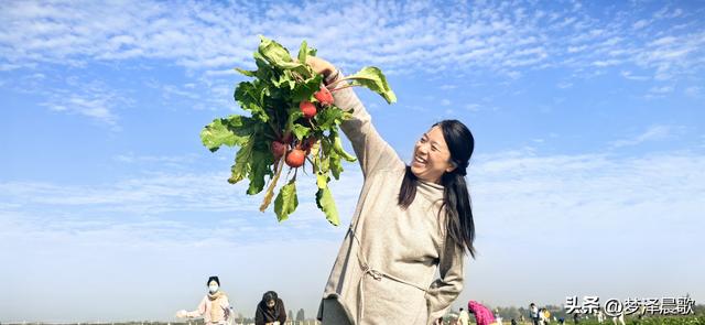 周末新玩法：云梦博物馆看秦简，新马村拔萝卜，武汉家庭乐翻天