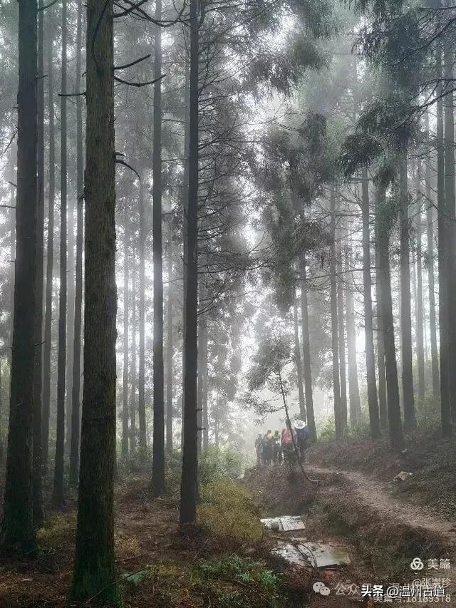 周末徒步去!这个有"温州版武功山"之称的名山,你可要去爬一次