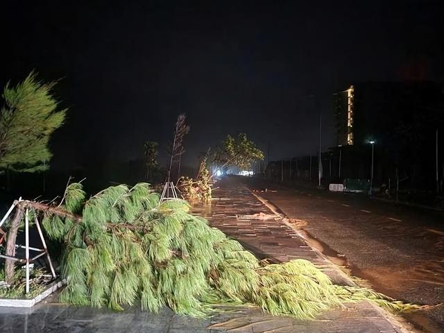 局势已恶化，菲国61个市镇大断电	，忙着反华的马科斯，被要求下台