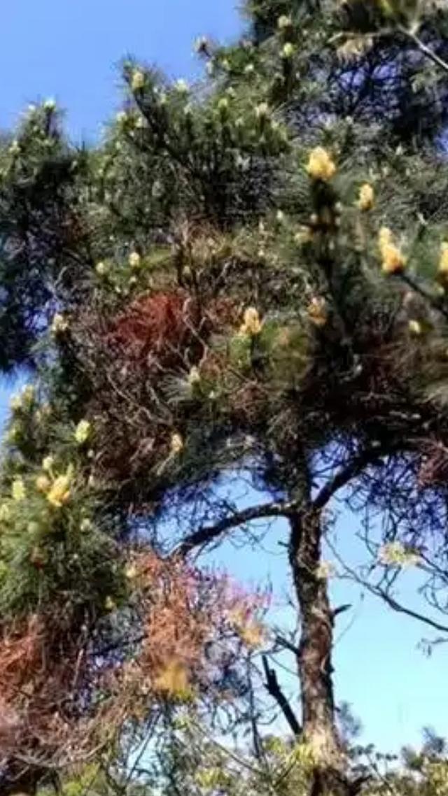 山河行履