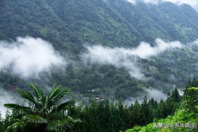 实话实说“大川”印象