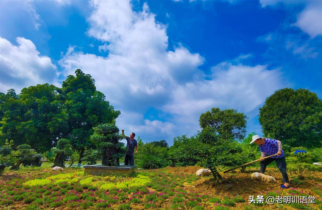 湖北枣阳：马家营要成为 3A 景区了吗？