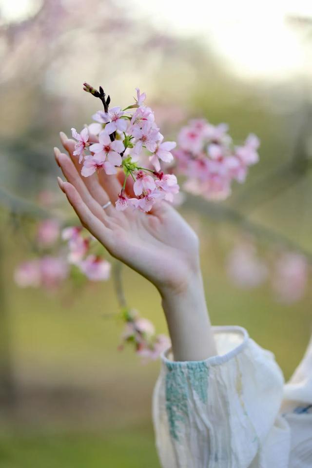 最新优惠！肇庆两大景区免票，面向此类人群→