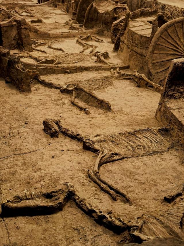 世界上只有中国山东省淄博市才有的全球 “独一无二的10大奇景”