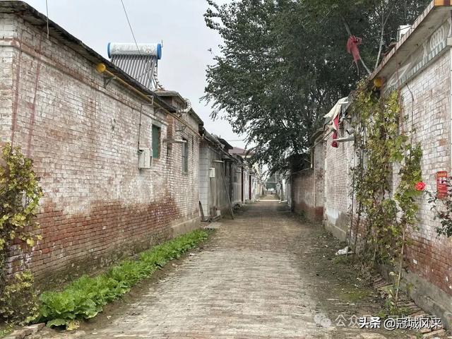 冠县乡韵·桑阿镇野场村