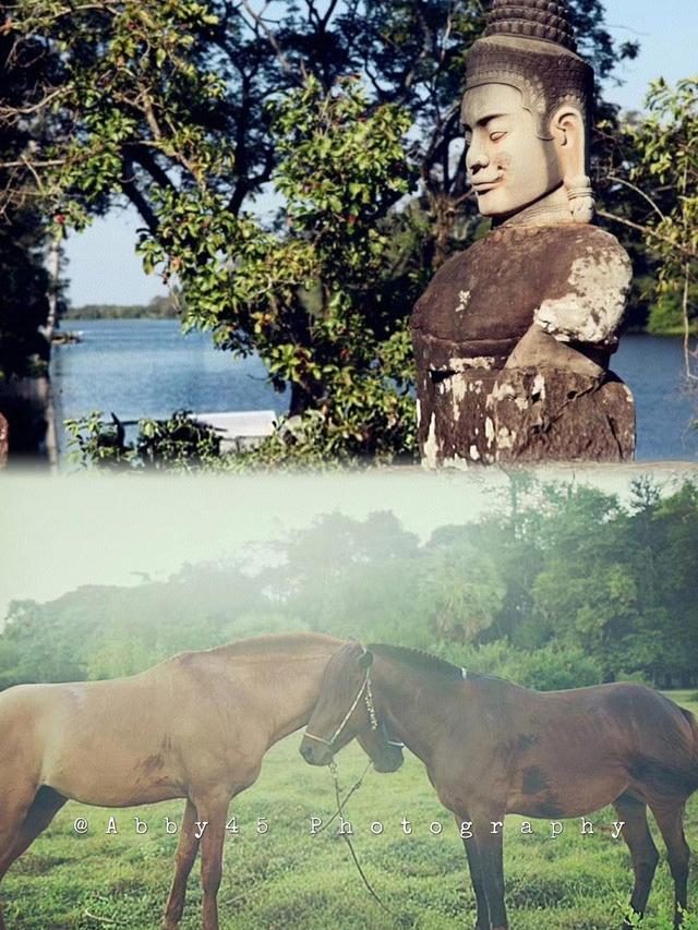 柬埔寨对中国免签啦！想去就去超方便，这份超实用旅游攻略快收好