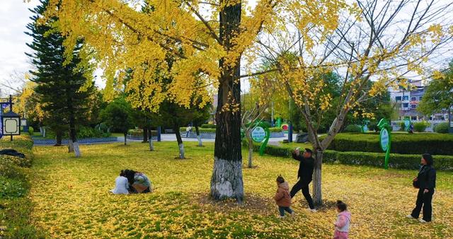 余庆的初冬，就藏在这些地方！