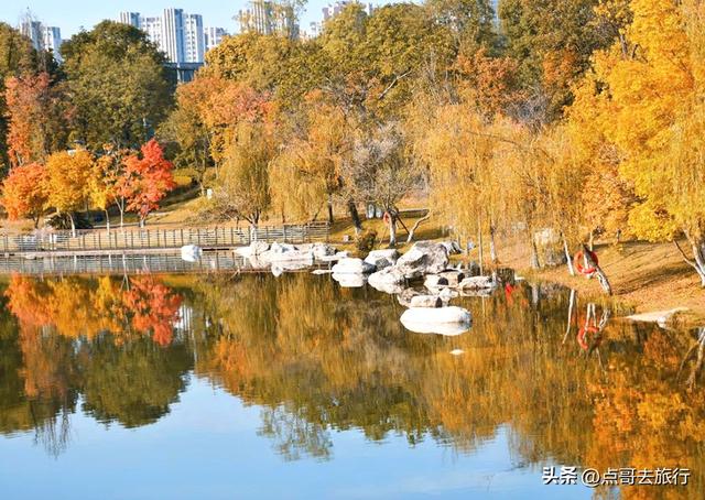 跟着法国总统游成都，24小时内去了哪些景点？成都真的太美了！