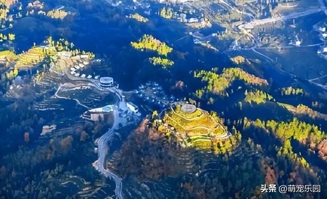 晨曦万亩茶园苏醒，摄影发烧友抢占制高点，茶旅福地美得令人心醉