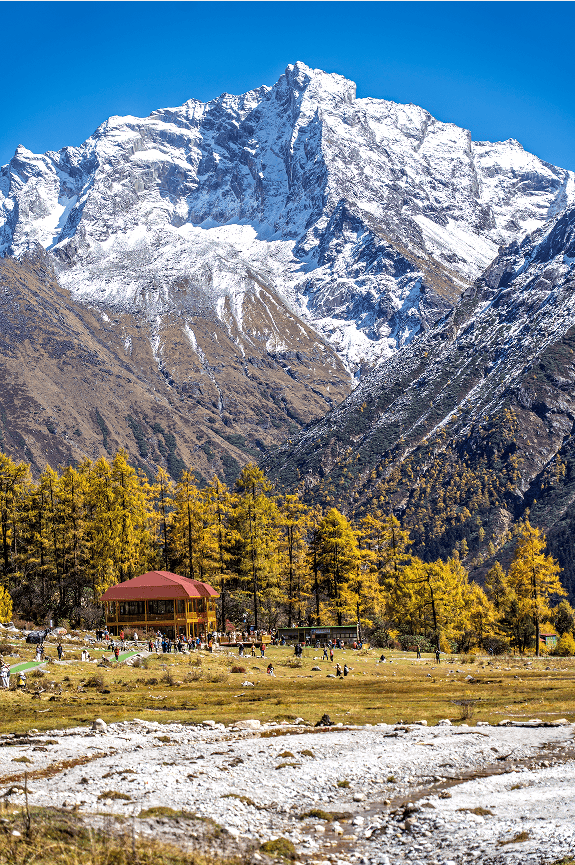 免门票丨毕棚沟献给全国师生们的秋日礼物！
