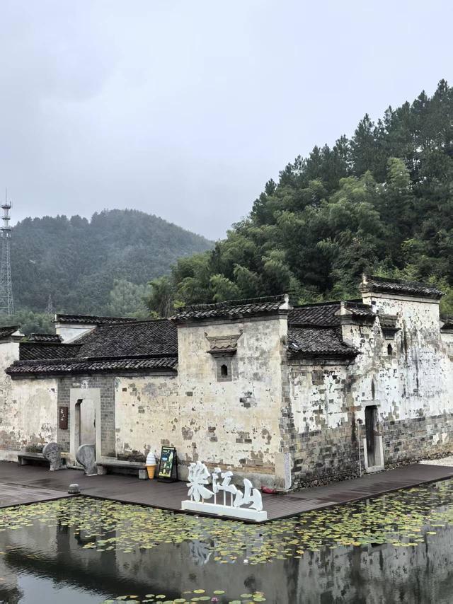 江苏省智能助老装备研究会精心组织康养交流徽州行系列活动