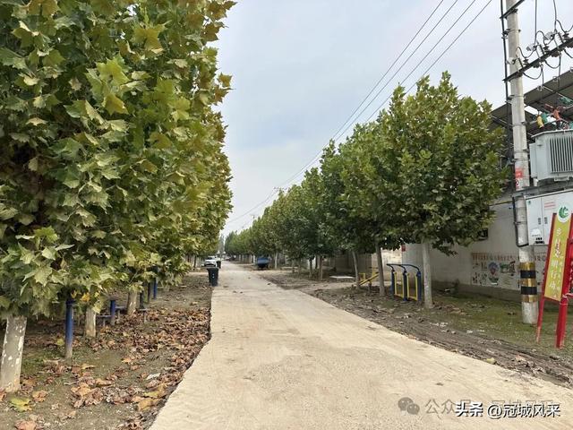 冠县乡韵·桑阿镇轧庄