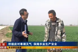 积极应对寒潮天气 保障农业生产安全图片