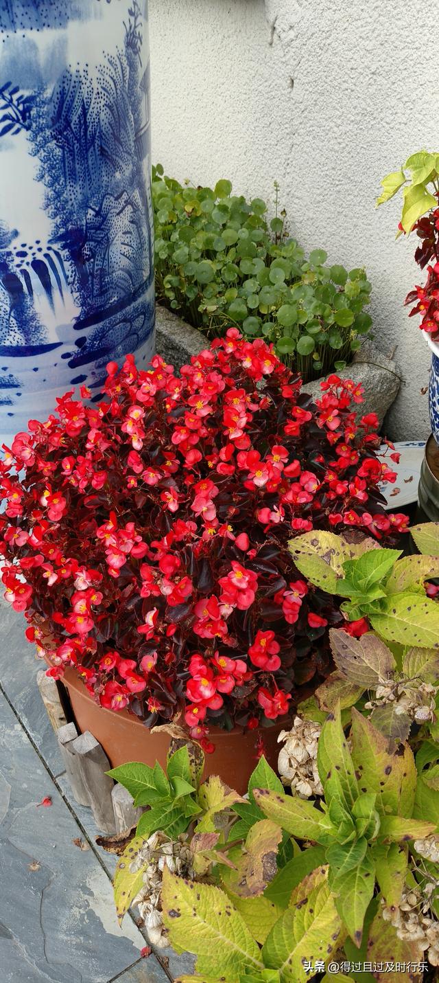 庐山游记-01来庐山，心悠然