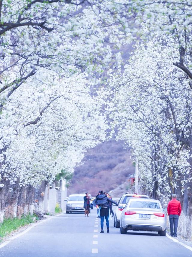 3 月旅行地推荐！这17 个地方春暖花开美到不像话，第一个直接心动