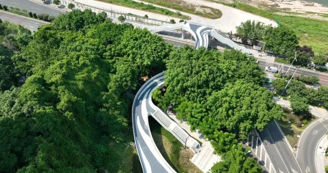 重庆“两江四岸”地图上新!4处打卡地可散步、遛娃