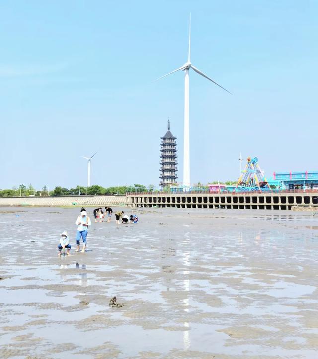 上海赶海攻略，人均10元玩转渔人码头，赶海+游乐全攻略请收好