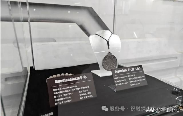 衡阳这个场馆免门票了，快去打卡！