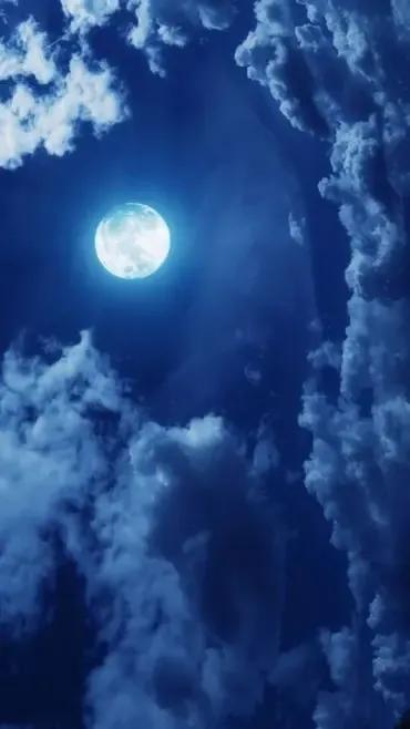 仲夏之夜