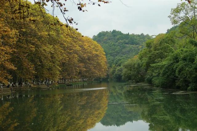 银杏拍照指南！10个出片宝藏地+3个手工教程，手把手教你出片！