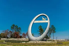 同里国家湿地公园又发现2个新鸟种，其中1种还是“国二”图片