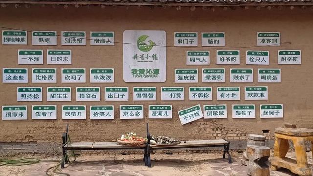 沁源，一座“含凉量”超标的小城！