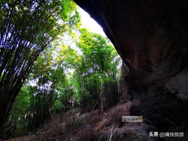 行走自贡：俞冲至万场的乡村风光