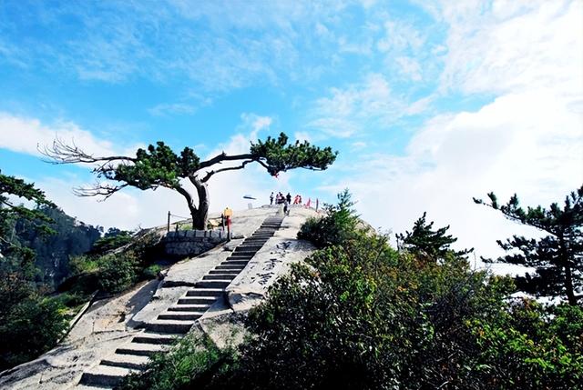 2025年7月第三周 渭南文化旅游资讯微报（组图）