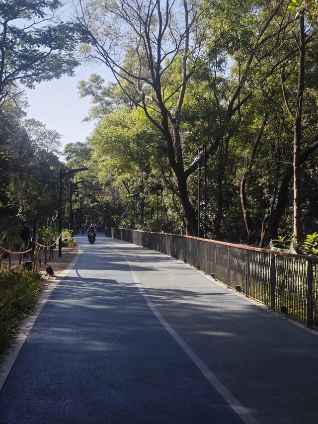 龙华新“骑”点，奔向2026骑行随拍1129