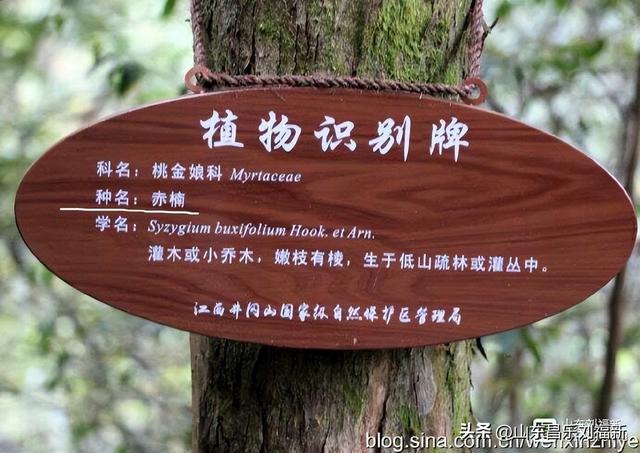 水口景区小记（江西之旅第八十八篇）