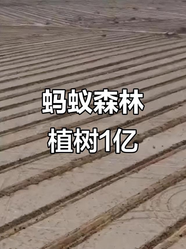 马云现身蚂蚁森林，大口吃西瓜，现场杂草丛生，跟2016年对比明显