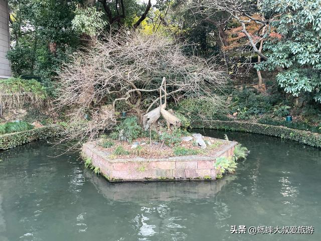 @所有人，杭州元旦三天该怎么玩？来人少景美行程，轻松千元搞定