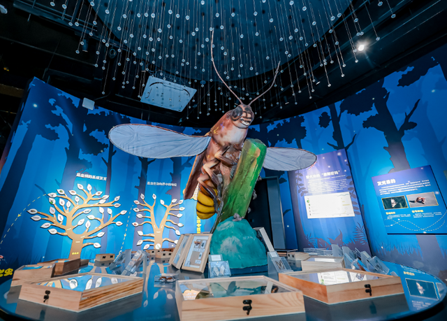 邛崃秋假放大招！这些景区免门票啦，亲子错峰游直接冲