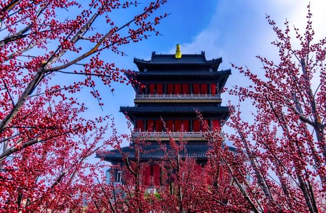 原来真的有城市，可以一天24小时都快乐~（1）