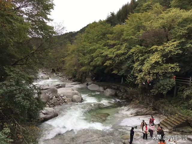 冒雨行驶八百里，却踩坑米仓山，与最美红叶失之交臂，抱憾而归