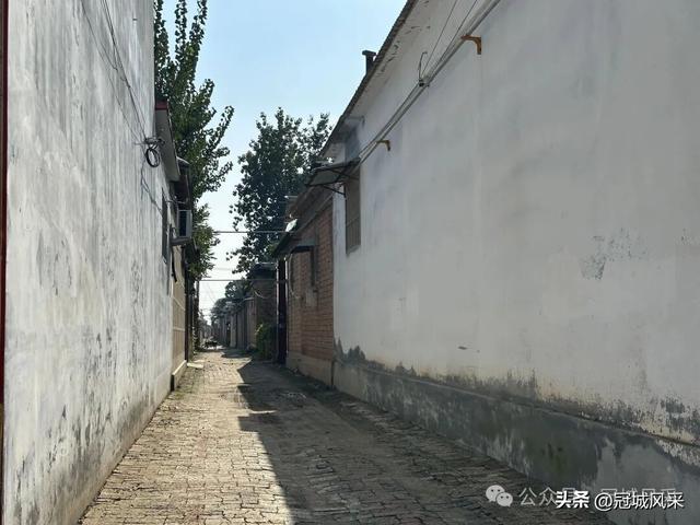 冠县乡韵·兰沃乡大柳邵村