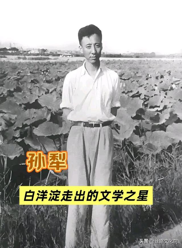 【作家专栏】杨舟平 散文｜ 秋淀残荷读孙犁