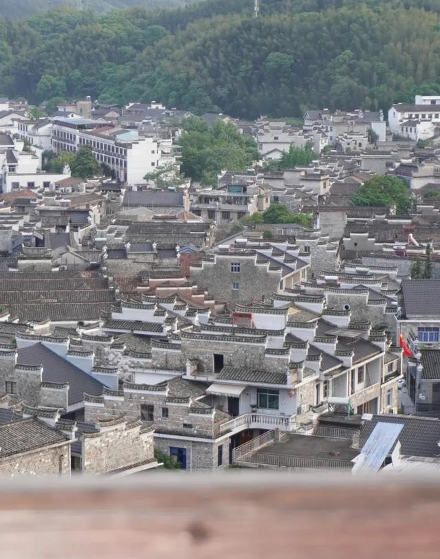 福建和浙江交界处有个小镇，默默无闻，却藏着全国独一无二的景观