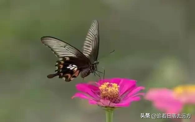 我搭伙过3个女人，发现女人过了55岁还找男人，无非就3个原因