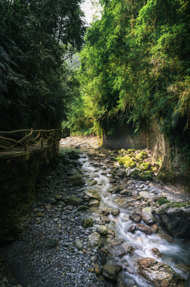错过等一年！巴山大峡谷秋色刚开场，彩林已美成仙境！