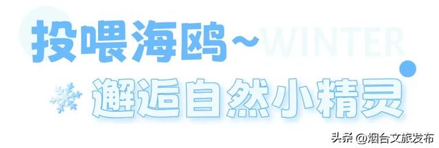 【乐游烟台】十二月好去处丨雪雪雪！烟台即将美成仙境