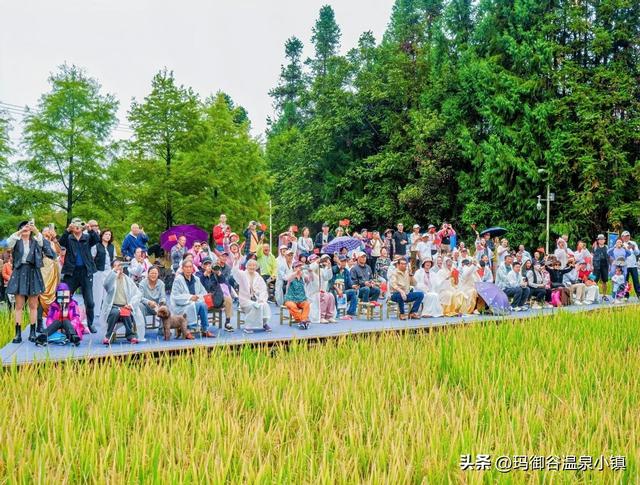 玛御谷康养旅居文化周暨腾冲第八届稻花鱼节盛大开幕