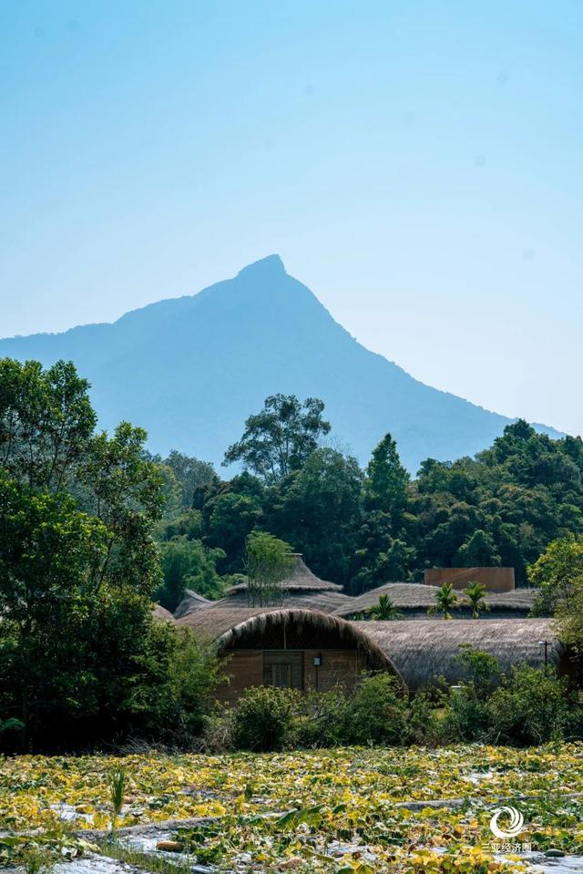 壮美五指山，我要给你五颗星